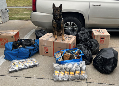 Un berger allemand de la police est assis sur deux boîtes. Le chien est entouré de sacs de bottes et d’emballages de bas.