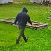 Blue Hills RCMP are looking for this male suspect in connection with an Oct. 2 break and enter at a residence in Forrest. He was seen driving a light-coloured Toyota 4Runner.