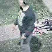 RCMP are looking for this suspect after multiple vehicles were vandalized on Cedar Bay in Portage la Prairie on Oct. 8.