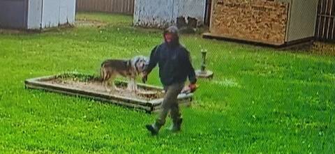 Blue Hills RCMP are looking for this male suspect in connection with an Oct. 2 break and enter at a residence in Forrest. He was seen driving a light-coloured Toyota 4Runner.